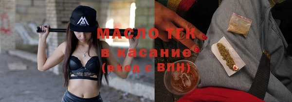 гашик Мегион