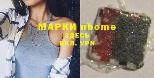 гашик Мегион