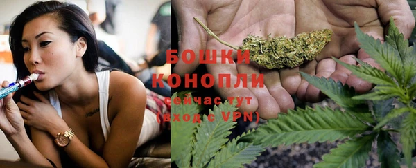 гашик Мегион