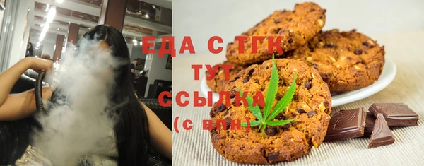 гашик Мегион