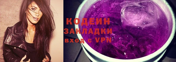 гашик Мегион