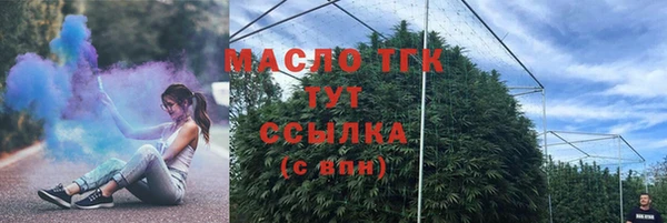 гашик Мегион