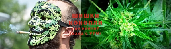 гашик Мегион