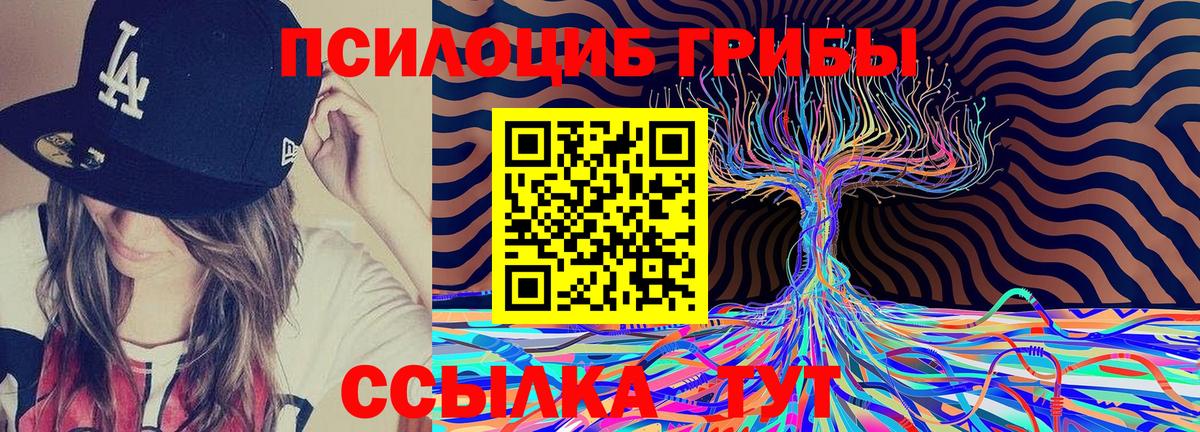 Галлюциногенные грибы Psilocybe Мытищи