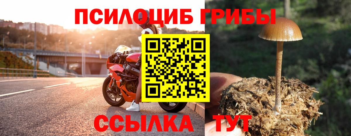 Галлюциногенные грибы Magic Shrooms  Вход с VPN  Мытищи  Псилоцибиновые грибы Psilocybe 