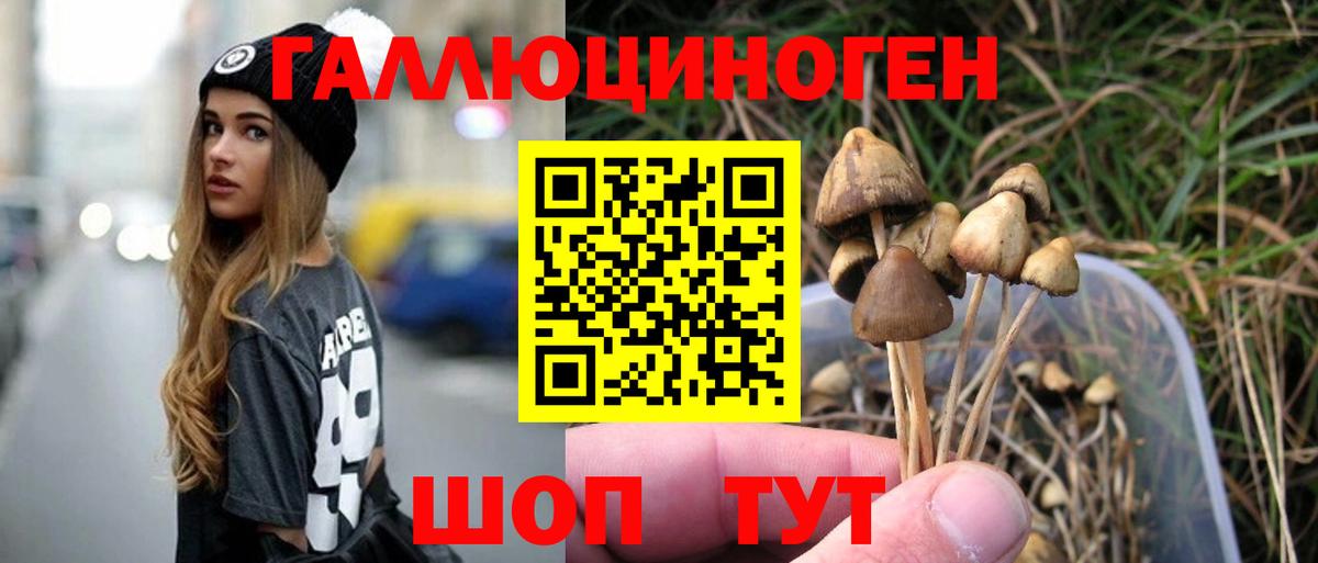 Псилоцибиновые грибы Psilocybine cubensis Мытищи